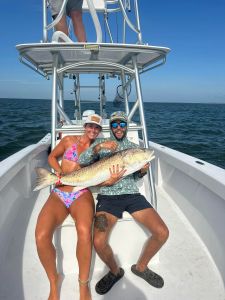 Red Drum Tackle Shop photo