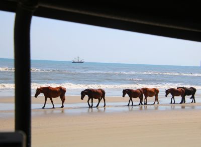 The Northern Outer Banks photo