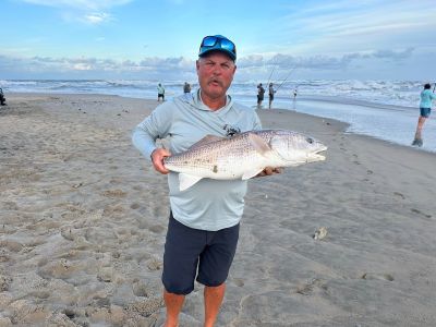 Red Drum Tackle Shop photo