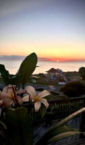 Rodanthe Watersports &amp; Campground photo