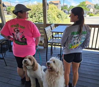The Froggy Dog Restaurant &amp; Pub photo