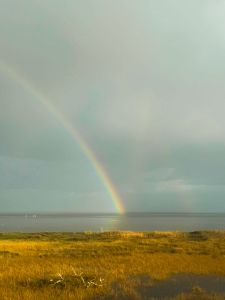 Diamond Shoals Restaurant &amp; Sushi Bar photo