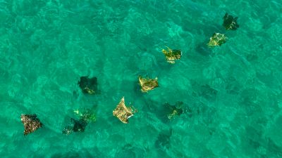 Joe Lamb, Jr. &amp; Associates photo