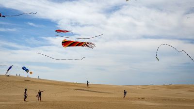 Joe Lamb, Jr. &amp; Associates photo