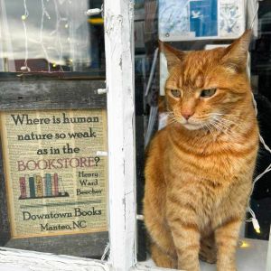 Downtown Books photo