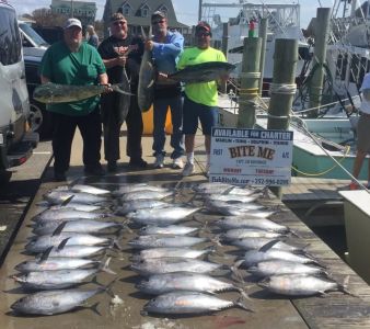 Bite Me Sportfishing Charters photo