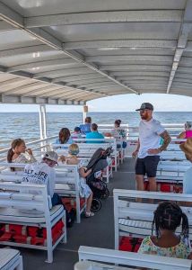 Harbor Star Dolphin Tours photo
