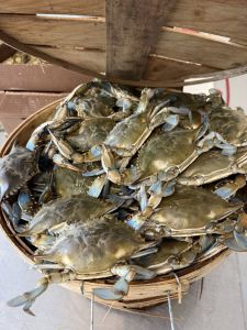 Surf's Up Seafood Market photo