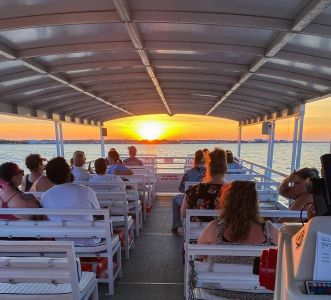 Harbor Star Dolphin Tours photo