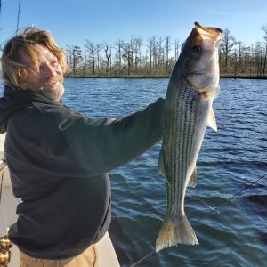 Oceans East Bait &amp; Tackle Nags Head photo