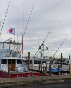 Oceans East Bait &amp; Tackle Nags Head photo