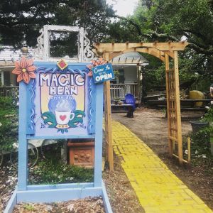 Magic Bean Coffee Bazaar photo
