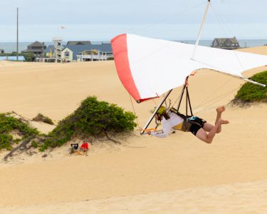 Kitty Hawk Kites photo