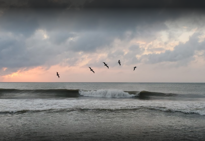 Enjoy the pristine beaches of the country's first National Seashore (our favorite variety of National Park).