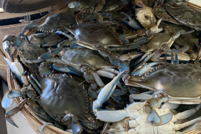 Surf's Up Seafood Market photo