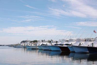 Blue Water Grill &amp; Raw Bar photo
