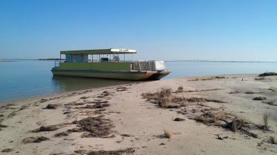 Captain Johnny’s Dolphin Tours photo