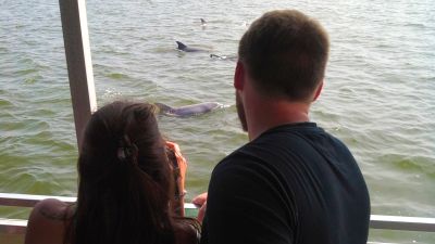 Captain Johnny’s Dolphin Tours photo