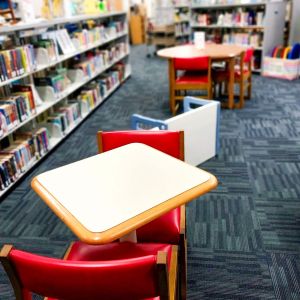 Dare County Library Foundation photo