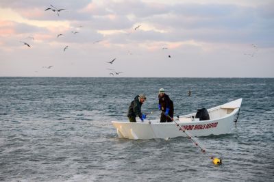 Diamond Shoals Restaurant &amp; Sushi Bar photo