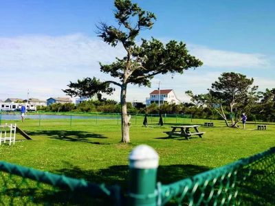 Bringing a dog? Stop by the Bark Park!