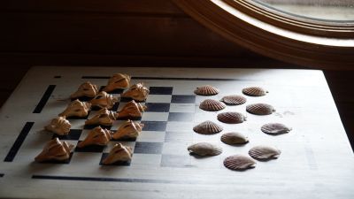 Muffins and Scones photo