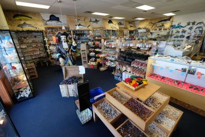 OBX Shell Store photo