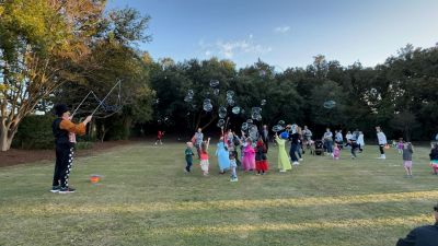 Duck Town Park photo