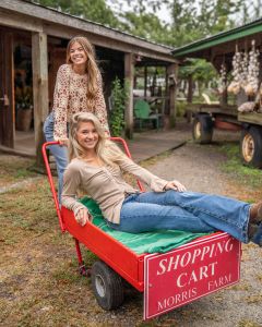 Foxy Flamingo Boutique photo