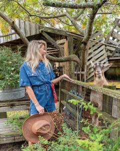 Foxy Flamingo Boutique photo