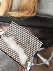 Outer Banks Lice Care photo