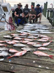 Fish Ocracoke photo
