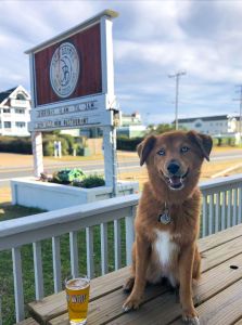 Jack Brown&#039;s Beer &amp; Burger Joint photo