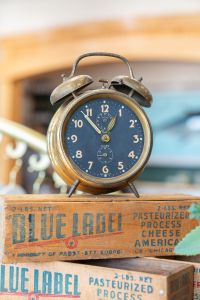 Marsh Fox Market photo