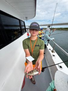 Miss Oregon Inlet II Head Boat Fishing photo