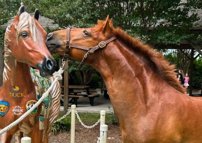 Duck Town Park photo