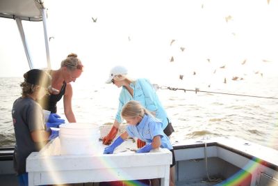 OBX Bait &amp; Tackle Corolla Outer Banks photo