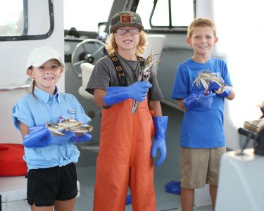 OBX Bait &amp; Tackle Corolla Outer Banks photo