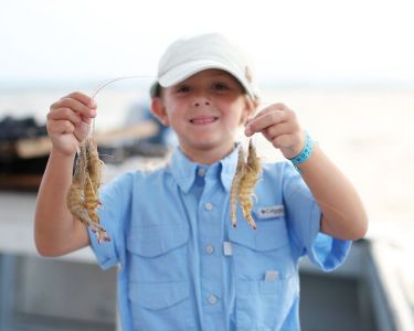 OBX Bait &amp; Tackle Corolla Outer Banks photo