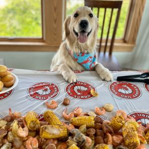 Outer Banks Boil Company photo