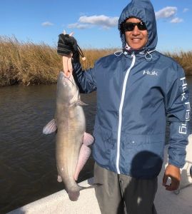 OBX Bait &amp; Tackle Corolla Outer Banks photo