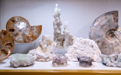 Traveler's Moon photo