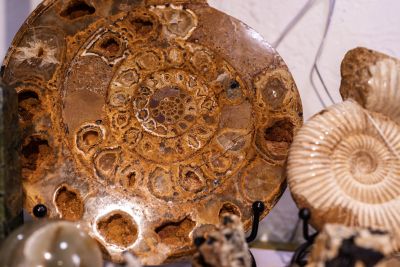 Traveler's Moon photo