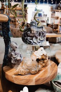 Traveler's Moon photo