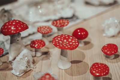 Traveler's Moon photo