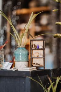 Traveler's Moon photo