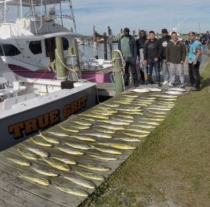 OBX Bait &amp; Tackle Corolla Outer Banks photo