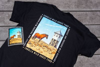 Corolla Wild Horse Fund photo