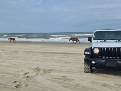 Beach4x4 photo