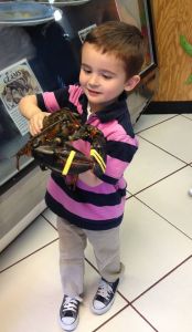 Fat Crabs Rib Company photo